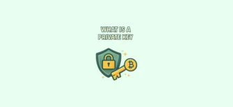 What is a private key — simple explanation of the cryptographic key that gives access to a crypto wallet and why keeping it secure is critical