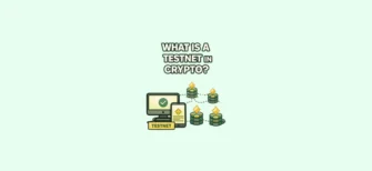 What is a testnet in crypto — simple explanation of a testing environment where blockchain developers try new features without using real cryptocurrency